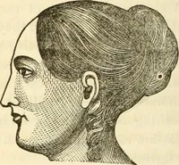 An illustration from Sexual science : including manhood, womanhood, and their mutual interrelations ; love, its laws, power etc. ... as taught by phrenolog (1870)