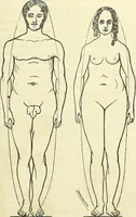 An illustration from Sexual science : including manhood, womanhood, and their mutual interrelations ; love, its laws, power etc. ... as taught by phrenolog (1870)