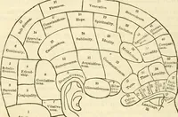 Picture 2 of 29 from Sexual science : including manhood, womanhood, and their mutual interrelations ; love, its laws, power etc. ... as taught by phrenolog (1870), leaf 65