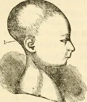 An illustration from Sexual science : including manhood, womanhood, and their mutual interrelations ; love, its laws, power etc. ... as taught by phrenolog (1870)