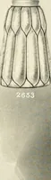 An illustration from Shades and globes : catalogue number 42 / Macbeth-Evans Glass Company (1912)