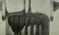 Picture 68 of 109 from Shades and shadows (1921), leaf 105