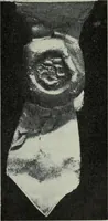 Picture 36 of 43 from Shakspere och hans tid (1616), leaf 314