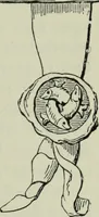 Picture 42 of 43 from Shakspere och hans tid (1616), leaf 328