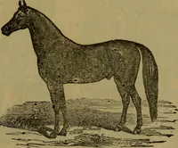 An illustration from Shanahan's guide to Washington and its environs, together with concise historical sketches of many things and places of interest to the visitor to the nation's capital (1894)