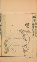 An illustration from Shan hai jing : er shi san juan (1667)