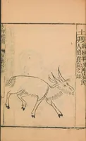 An illustration from Shan hai jing : er shi san juan (1667)