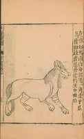 An illustration from Shan hai jing : er shi san juan (1667)