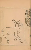 An illustration from Shan hai jing : er shi san juan (1667)