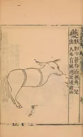 An illustration from Shan hai jing : er shi san juan (1667)