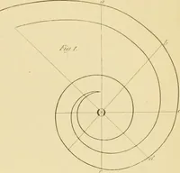 An illustration from Shaw's Civil architecture; being a complete theoretical and practical system of building, containing the fundamental principles of the art (1852)