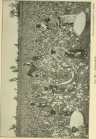 An illustration from Shelter and clothing; a textbook of the household arts (1920)