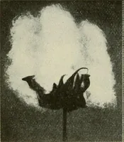 An illustration from Shelter and clothing; a textbook of the household arts (1920)