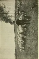 An illustration from Shelter and clothing; a textbook of the household arts (1920)