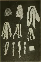 An illustration from Shelter and clothing; a textbook of the household arts (1920)