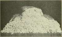 An illustration from Shelter and clothing; a textbook of the household arts (1920)