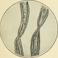 An illustration from Shelter and clothing; a textbook of the household arts (1920)