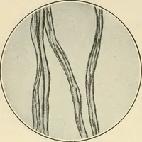 An illustration from Shelter and clothing; a textbook of the household arts (1920)