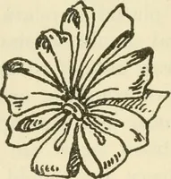 An illustration from Shelter and clothing; a textbook of the household arts (1920)