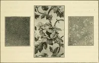 An illustration from Shelter and clothing; a textbook of the household arts (1920)