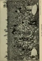 An illustration from Shelter and clothing; a textbook of the household arts (1916)