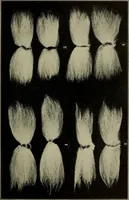 An illustration from Shelter and clothing; a textbook of the household arts (1916)