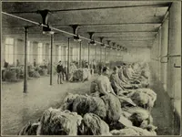 An illustration from Shelter and clothing; a textbook of the household arts (1916)