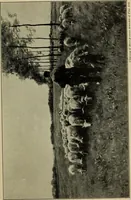 An illustration from Shelter and clothing; a textbook of the household arts (1916)