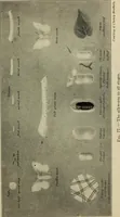 An illustration from Shelter and clothing; a textbook of the household arts (1916)