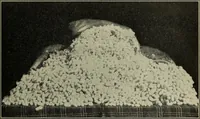 An illustration from Shelter and clothing; a textbook of the household arts (1916)