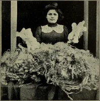 An illustration from Shelter and clothing; a textbook of the household arts (1916)