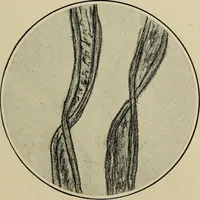 An illustration from Shelter and clothing; a textbook of the household arts (1916)