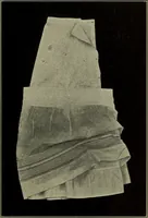 An illustration from Shelter and clothing; a textbook of the household arts (1916)