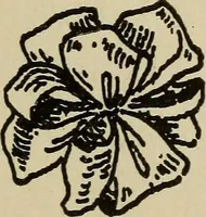 An illustration from Shelter and clothing; a textbook of the household arts (1916)