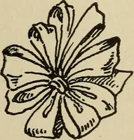 An illustration from Shelter and clothing; a textbook of the household arts (1916)