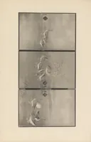 An illustration from Shinbi taikan (1899)
