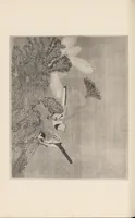 An illustration from Shinbi taikan (1899)