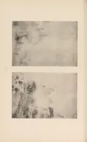 An illustration from Shinbi taikan (1899)