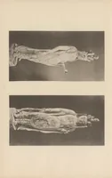 An illustration from Shinbi taikan (1899)