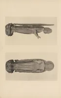 An illustration from Shinbi taikan (1899)