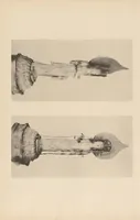 An illustration from Shinbi taikan (1899)