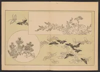 An illustration from Shinsen moyō no shiori. Ge no maki (1902)