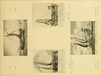An illustration from Shipbuilding from its beginnings (1913)