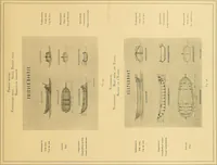 An illustration from Shipbuilding from its beginnings (1913)
