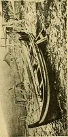 An illustration from Shipbuilding from its beginnings (1913)