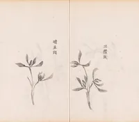 An illustration from Shi zhu zhai shu hua pu (1879)