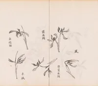 An illustration from Shi zhu zhai shu hua pu (1879)