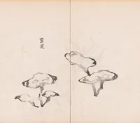 An illustration from Shi zhu zhai shu hua pu (1879)