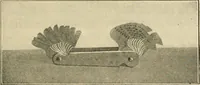 Picture 130 of 183 from Shop practice for home mechanics, use of tools, shop processes, construction of small machines. Contains a chapter also on theoretical mechanics and on miscellaneous information relative to shop work (1920), leaf 196