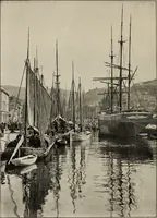 An illustration from The shores of the Adriatic, the Austrian side : the Küstenlande, Istria, and Dalmatia (1908)